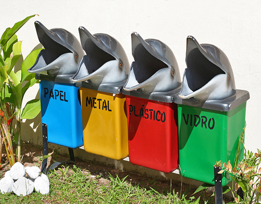 brazil bin