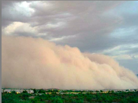 haboob