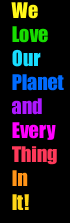 we love our planet