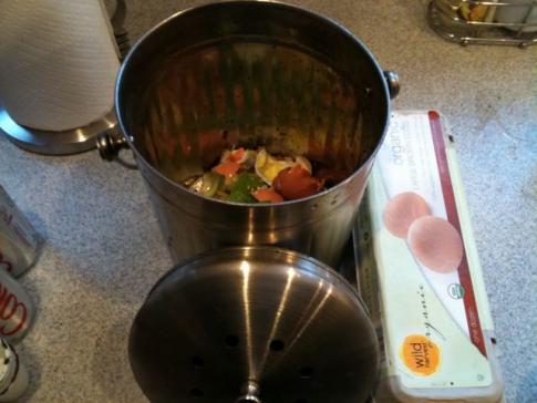 store boght plastic compost bin