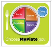 new food pyramid plate