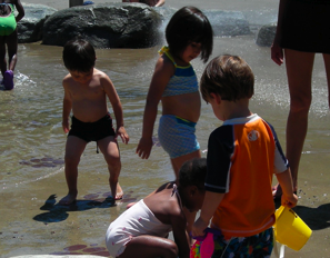 looking for shells crafts