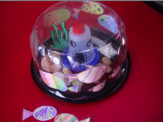 recycle plastic container aquarium