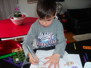 recycle plastic container aquarium3