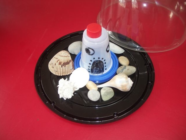 recycle plastic container aquarium2