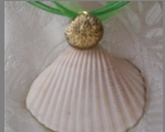 shell jewelry