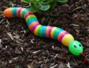 egg snake