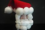 toilet paper santa craft