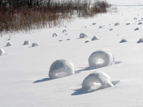 snow rollers
