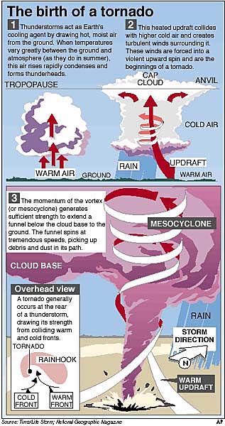 tornado diagram